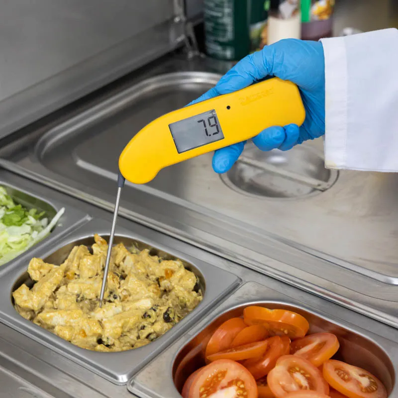 235-427-Thermapen-ONE-inuse-chicken-2-WEB.webp
