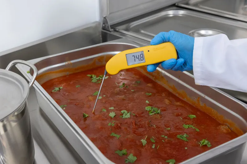 235-427-Thermapen-inuse-meatballs-2-WEB.webp
